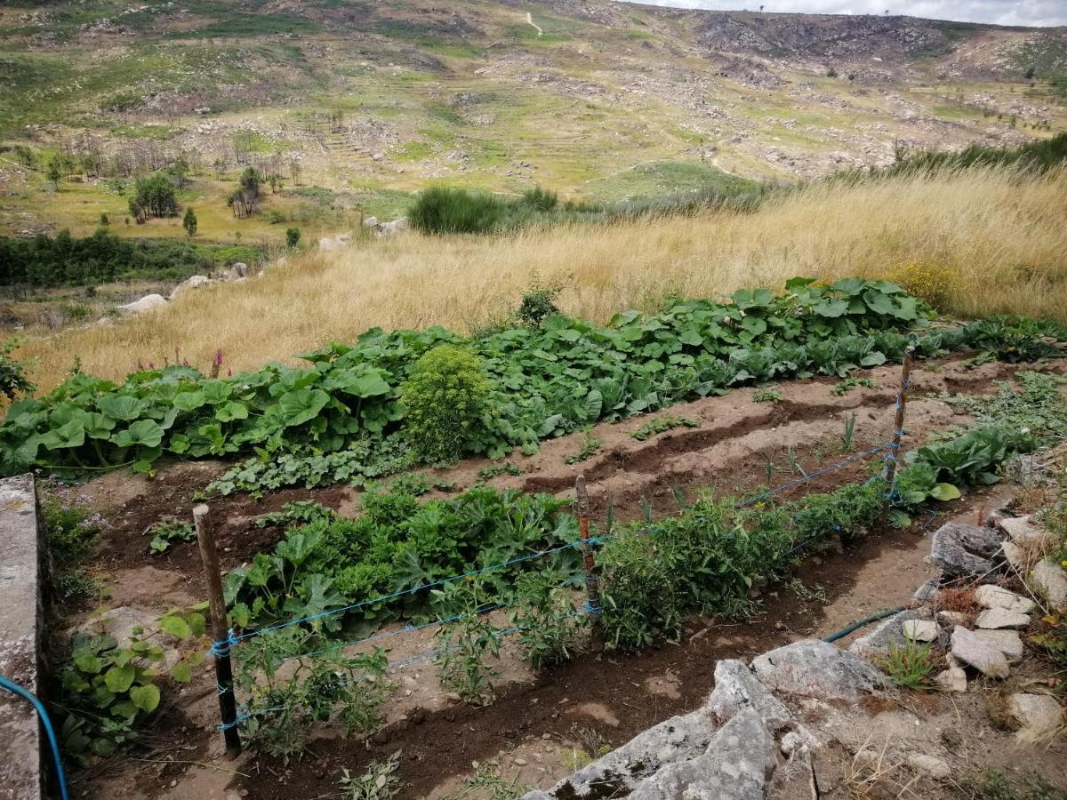 Вилла Quinta Do Chaozinho Алижо Экстерьер фото